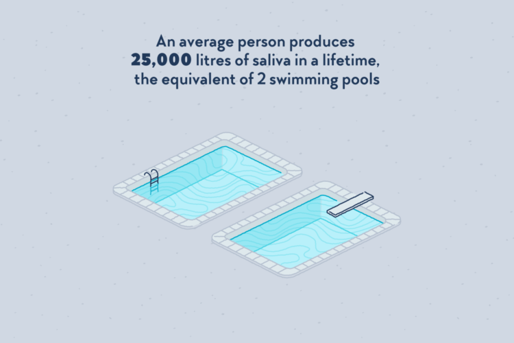 Two swimming pools filled with saliva.