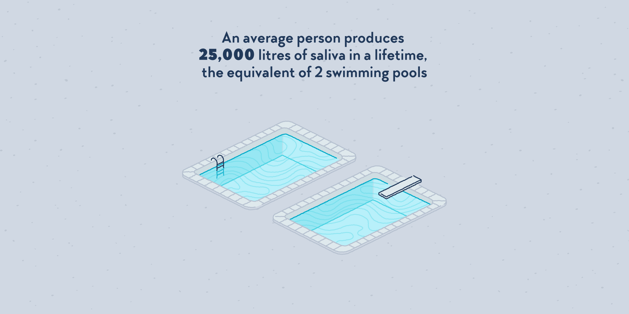Two swimming pools filled with saliva.