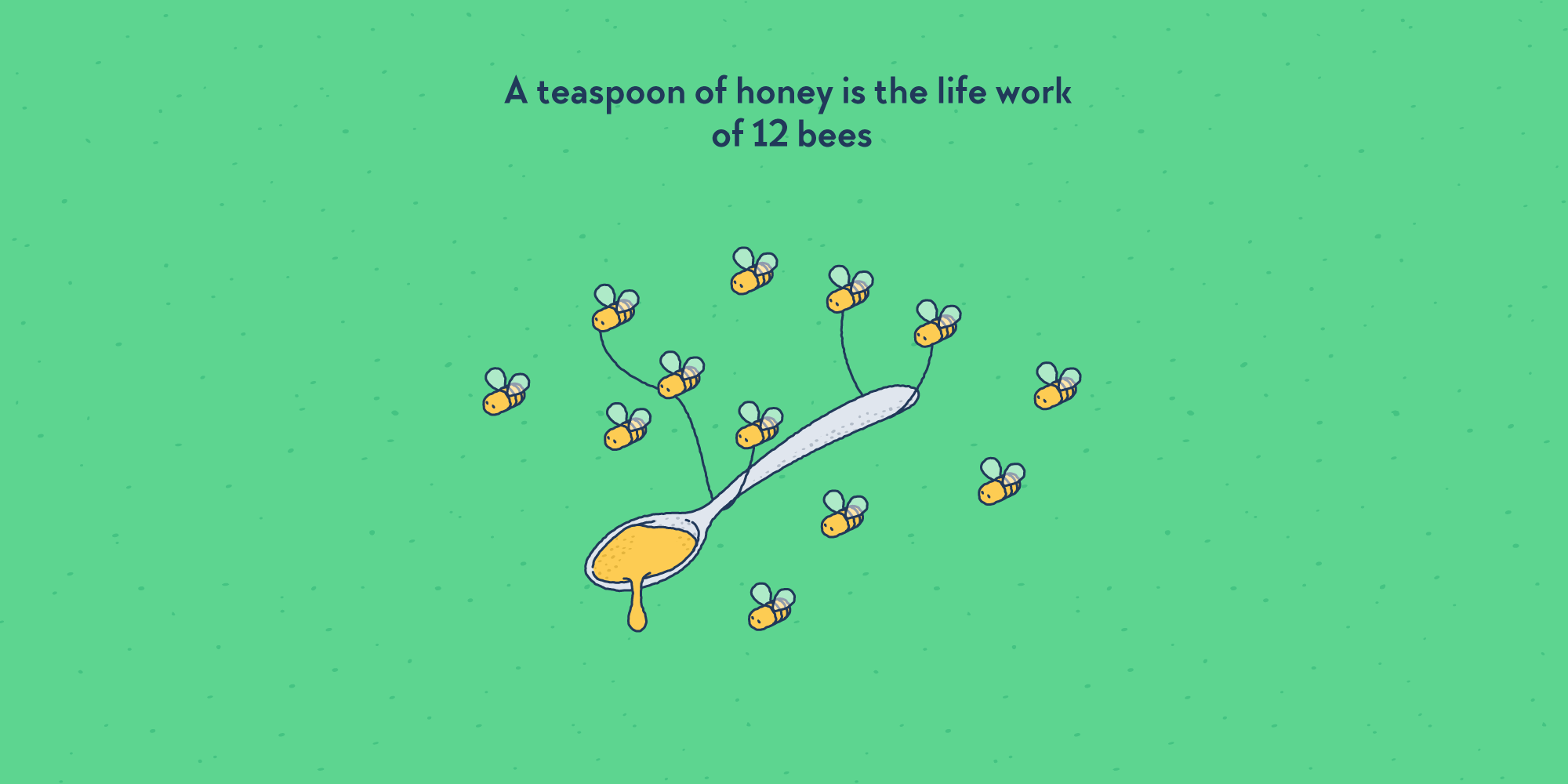 A teaspoon carried by 12 bees