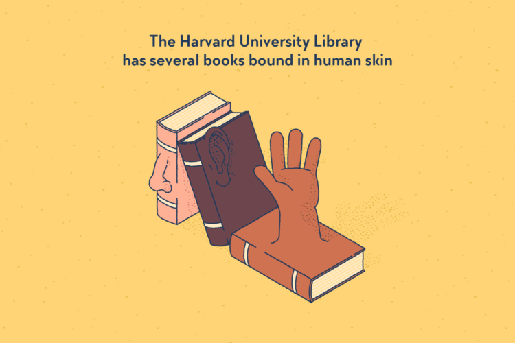 Three old books lined up next to each other reveal human body parts (a noise, an ear, and a hand) as part of their binding.