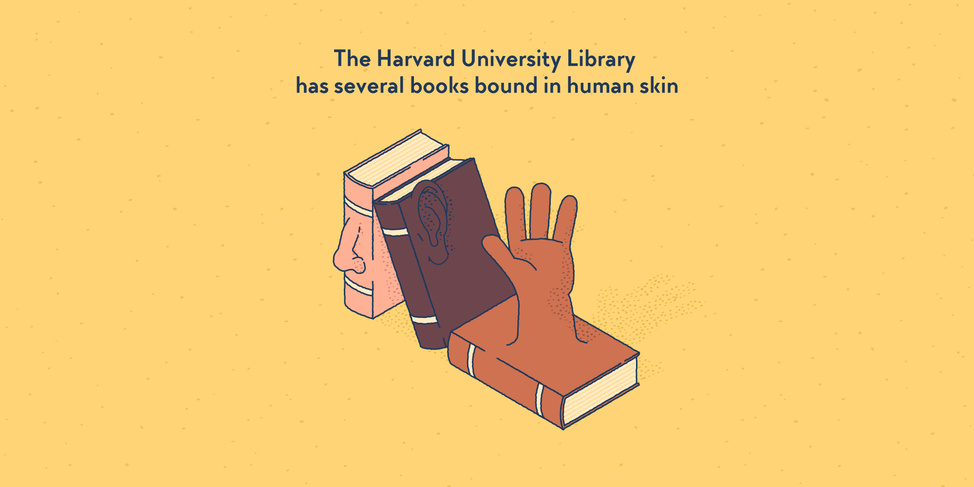 Three old books lined up next to each other reveal human body parts (a noise, an ear, and a hand) as part of their binding.