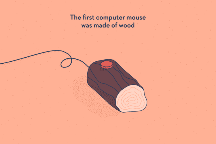 A piece of wood with a button on top and a cable.
