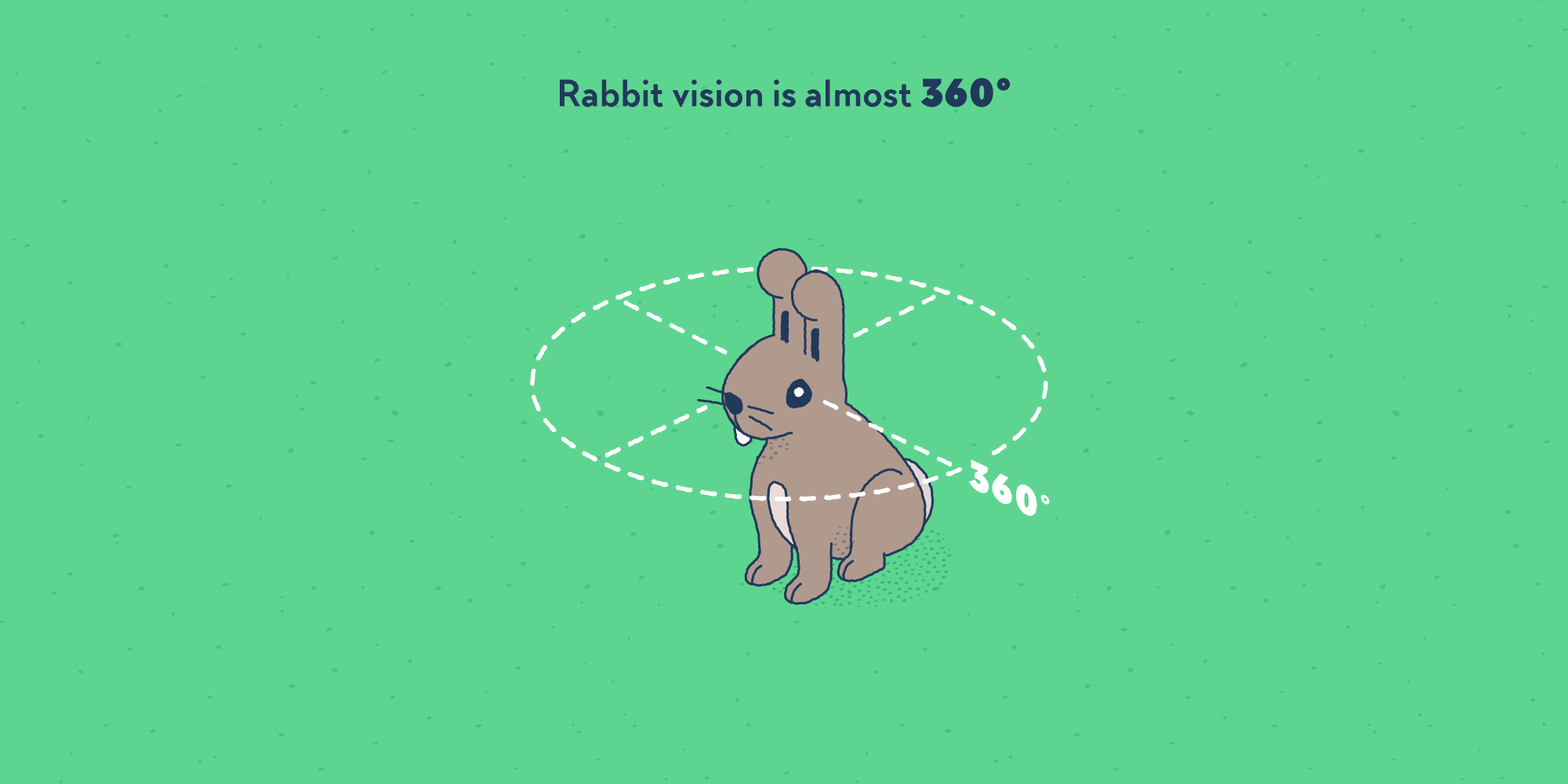 A rabbit with a line around its head, the line depicts 360 degrees.