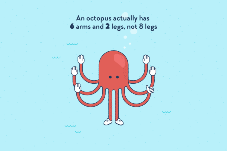 An anthropomorphised octopus standing on two legs, with six gloved hands. One hand is doing a thumb up.