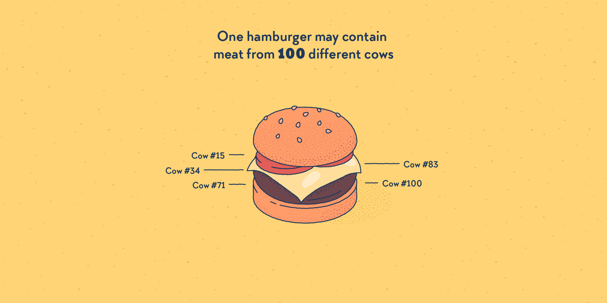 A hamburger, surounded by little captions indicating “Cow number 15”, “Cow number 34”, “Cow number 72”, etc.