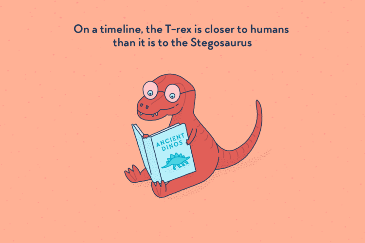 A little T-Rex wearing glasses and reading a big book called “Ancient dinos”. On the cover, a picture of a Stegosaurus.