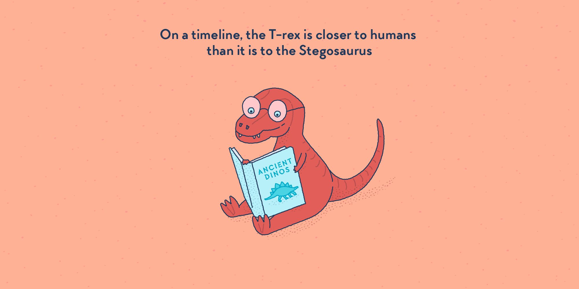 On A Timeline The T Rex Is Closer To Humans Than It Is To - 