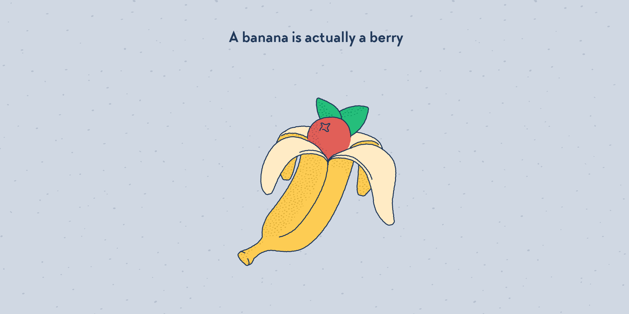 A banana being peeled, with a red berry in the middle in place of an actual banana.