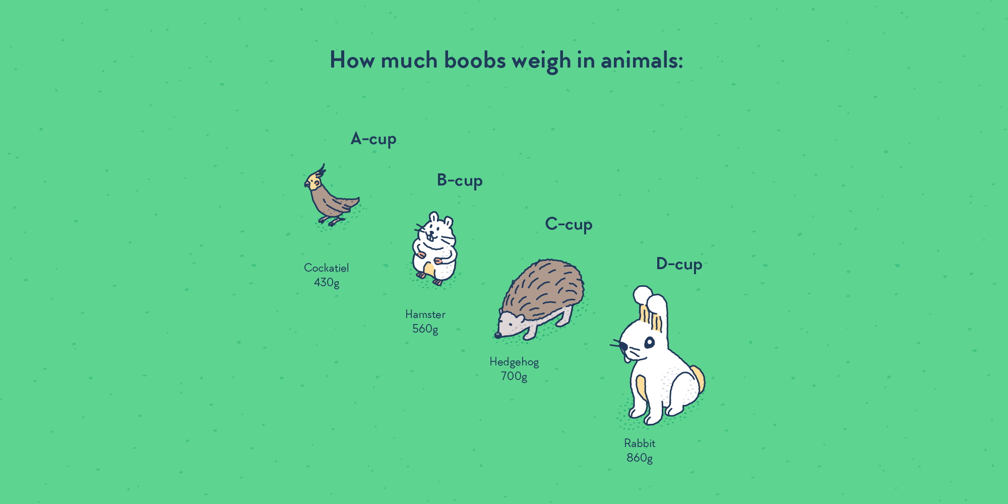 Four little animals, labelled with cup sizes: the cockatiel is A-cup, the hamster is B-cup, the hedgehog is C-cup, and the rabbit is D-cup.