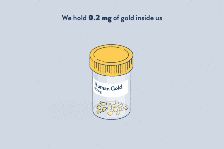 A small transparent sample container in which there are some gold nuggets. A label on it says “Human gold”.