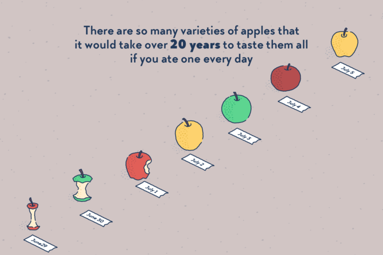 A long line of apples of different sizes and colours, in gradual states of being eaten, labelled “July 1st”, “July 2nd”, “July 3rd”, etc.