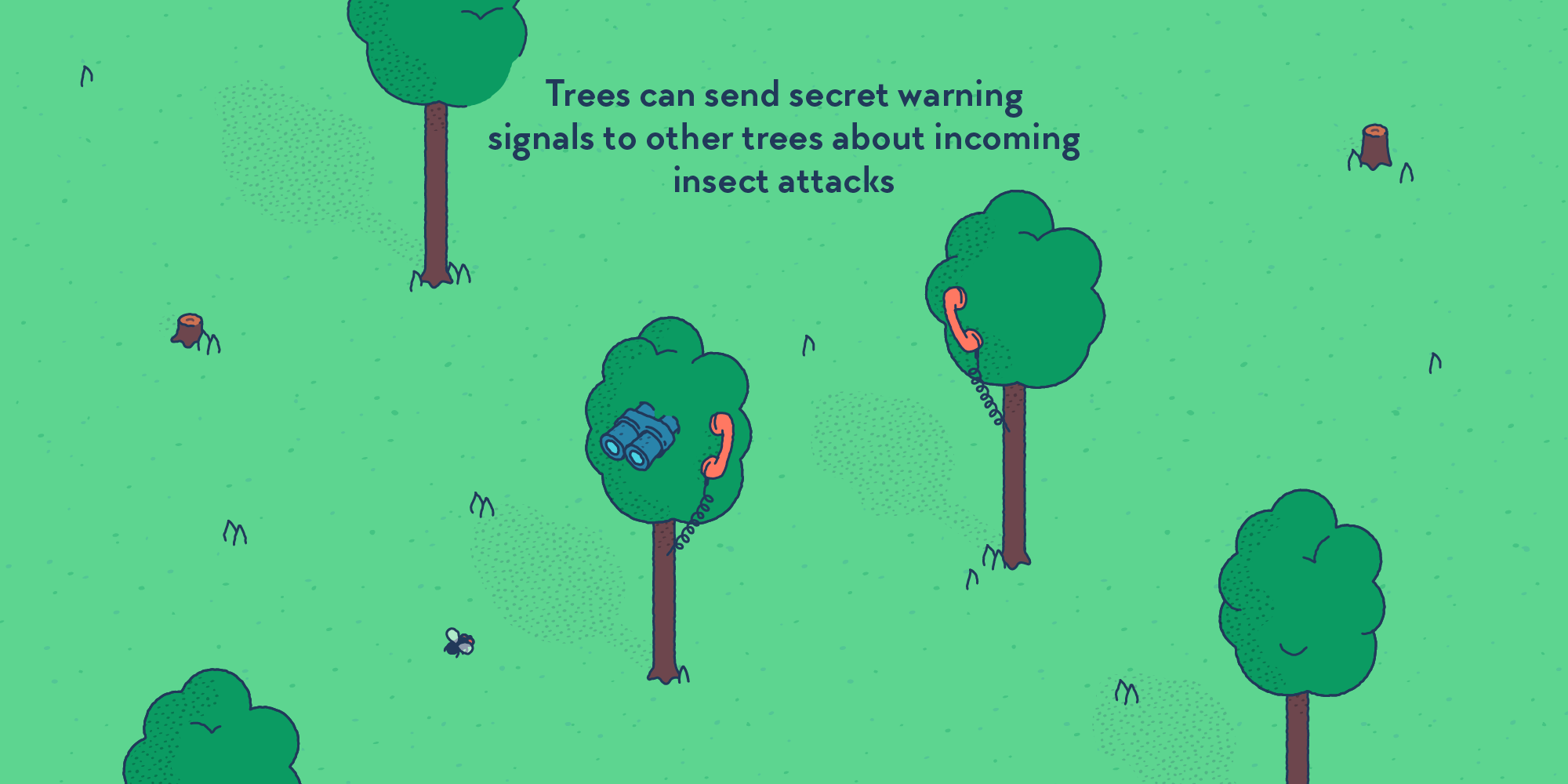 Two trees holding telephone handsets, presumably commutating together. One of them is watching through binoculars a fly coming in its direction.