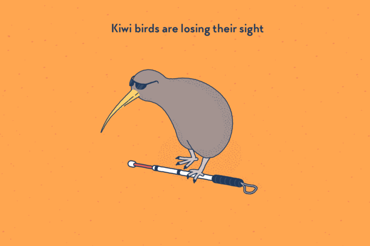 A kiwi bird wearing black glasses and carrying a white cane.