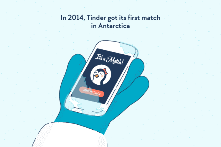 A gloved hand holding a telephone. On the screen: the “It’s a match!” screen from the Tinder app, showing the picture of a penguin.