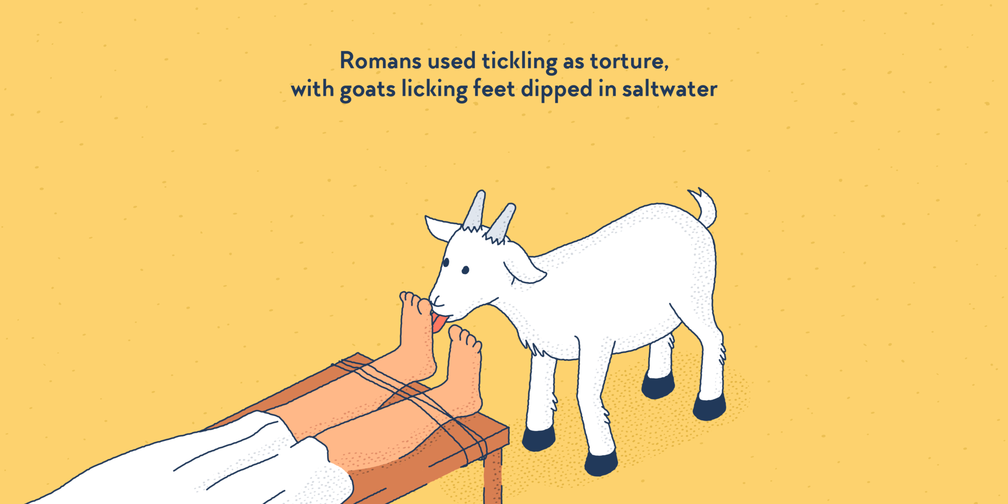 A goat licking the feet of a person tied lying down.