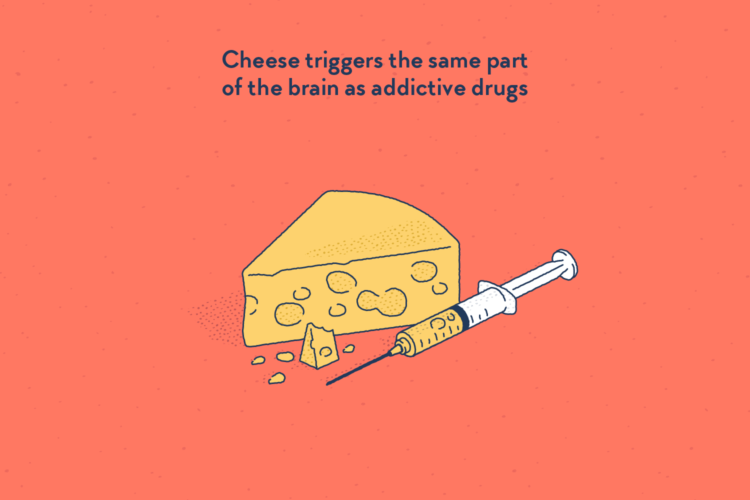 Cheese, some of it in a syringe