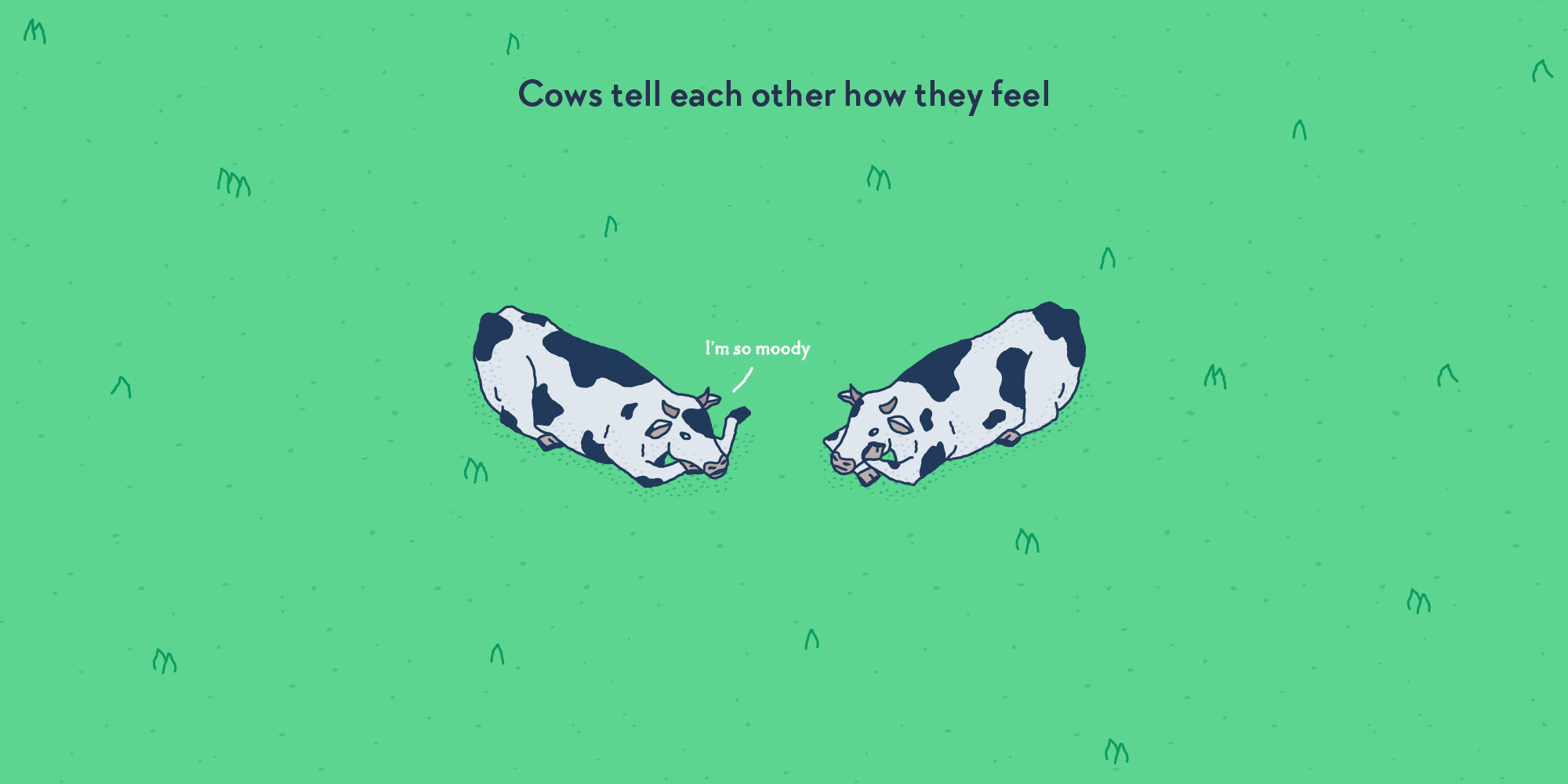 Two cows lying in the grass, one saying to the other: “I’m so moody”.
