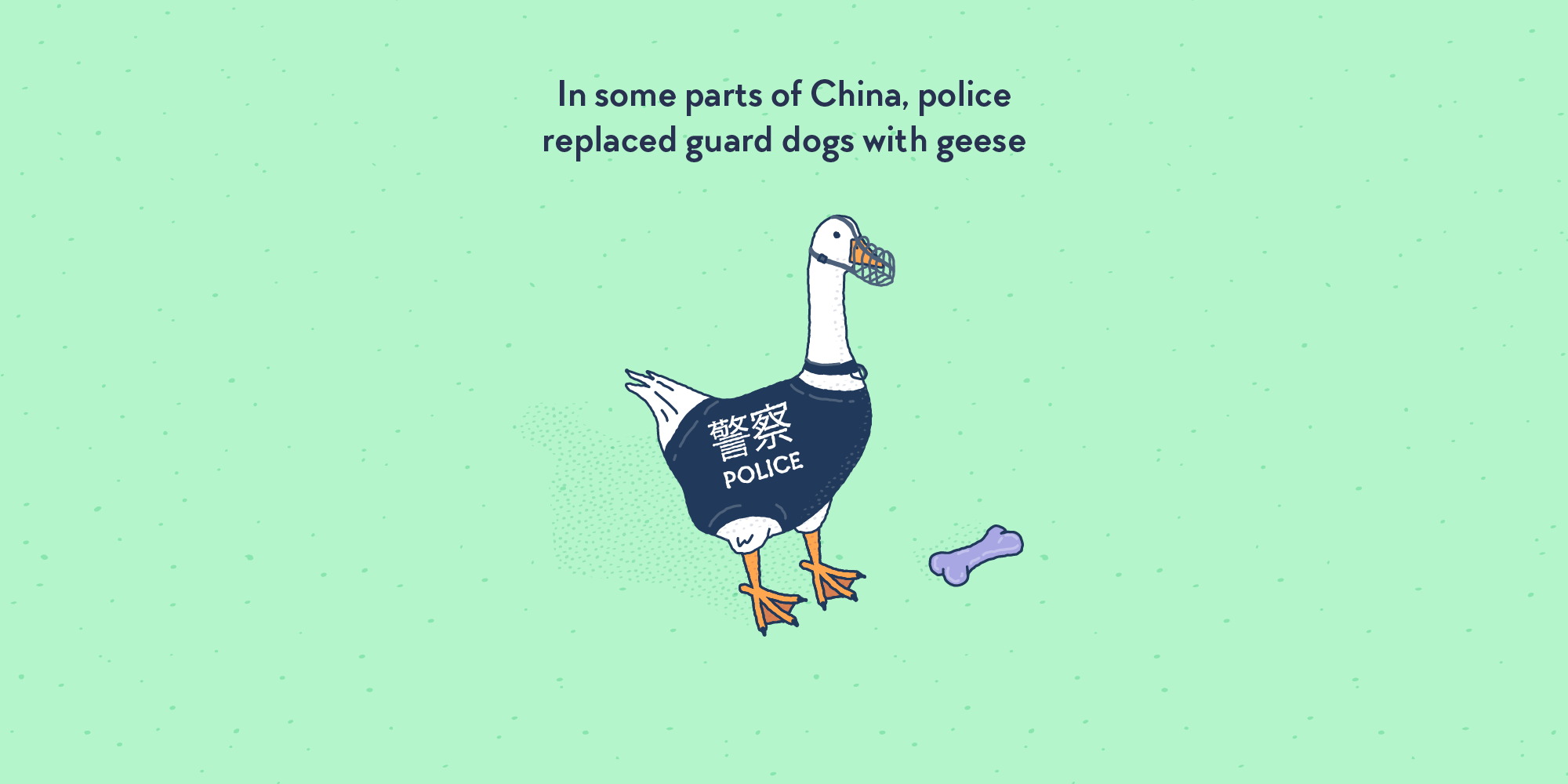 A goose dressed like a police dog, with black outfit reading “POLICE” and a muzzle.
