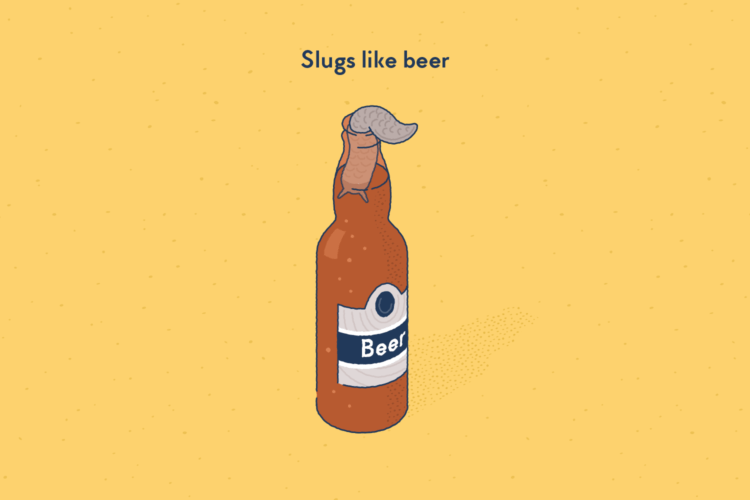 A slug climbing in a bottle of beer.