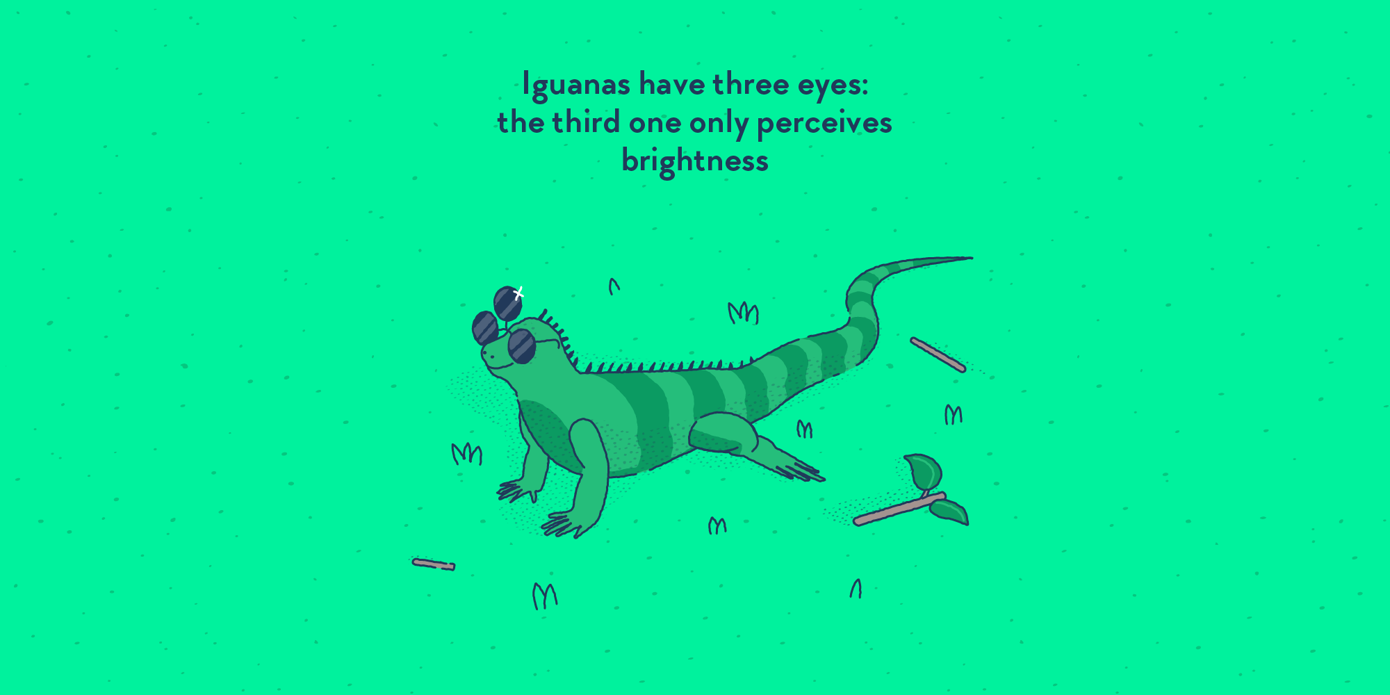 An iguana wearing sunglasses with three lenses.