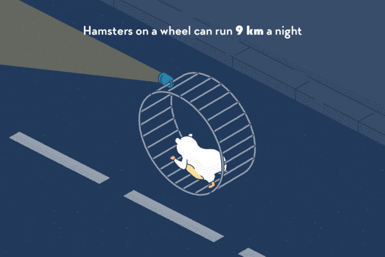 An hamster running in a loose wheel on the road at night.