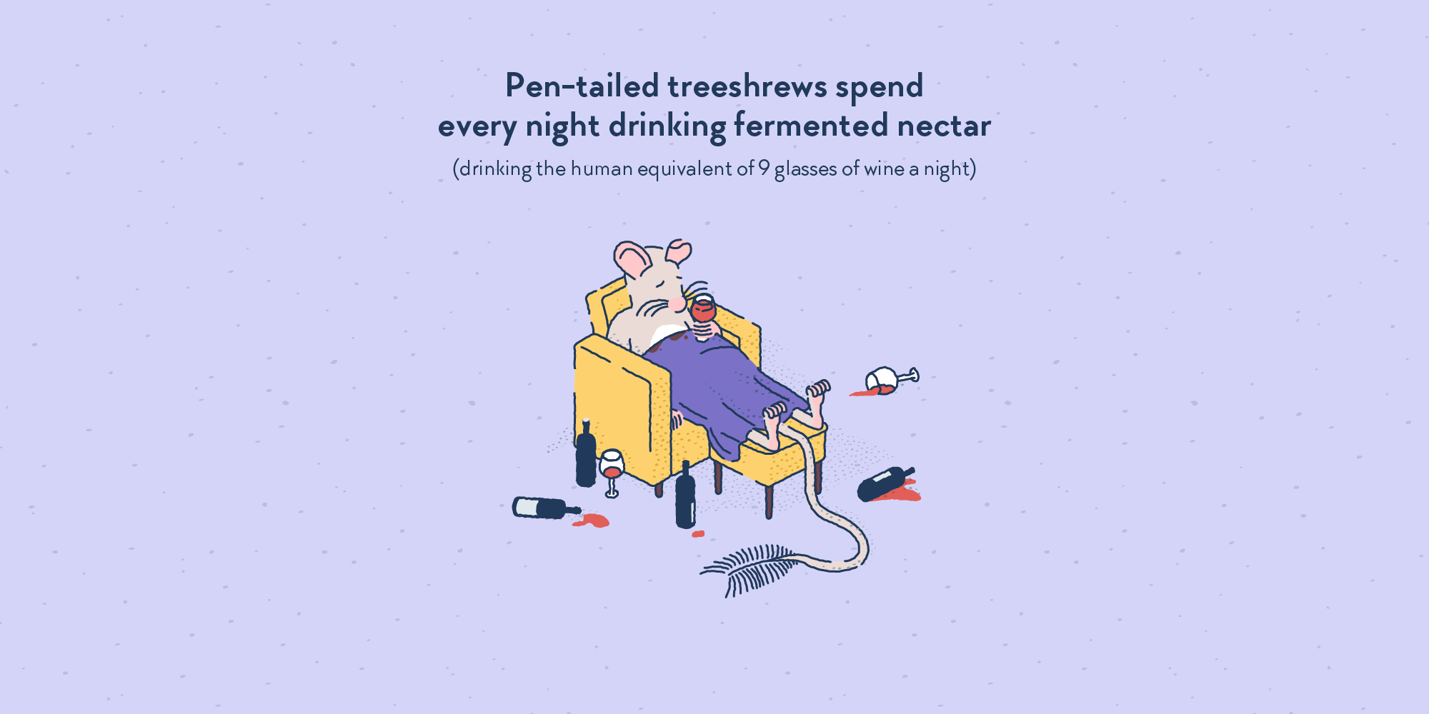 A shrew collapsed in an armchair, drunk, glasses and bottles of wine spread around.