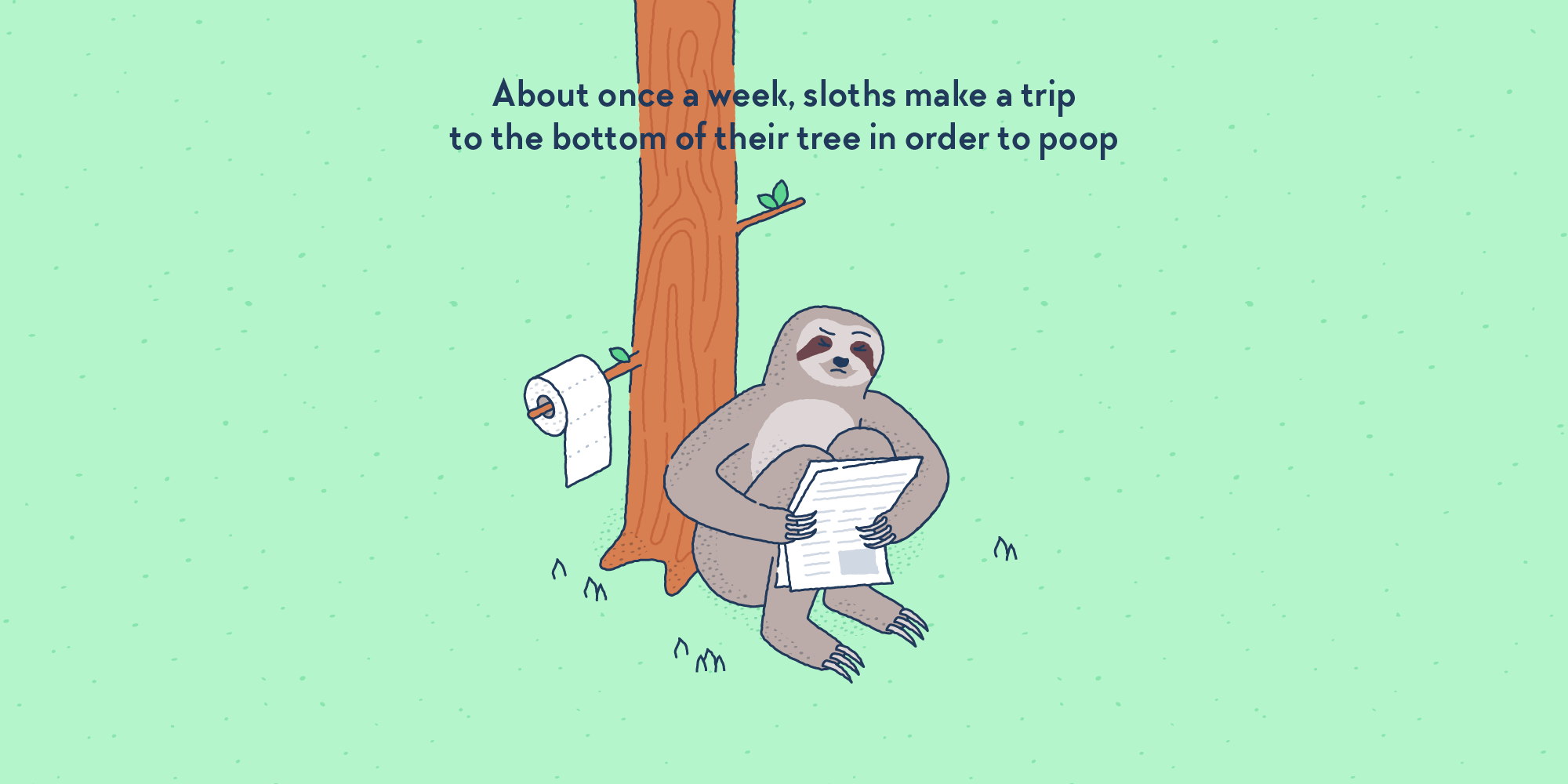A sloth crouched at the bottom of a tree, reading a newspaper, a roll of toilet paper attached to a near branch.