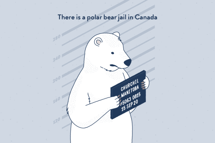 A bear taken in picture at the entrance of a prison, holding a sign.