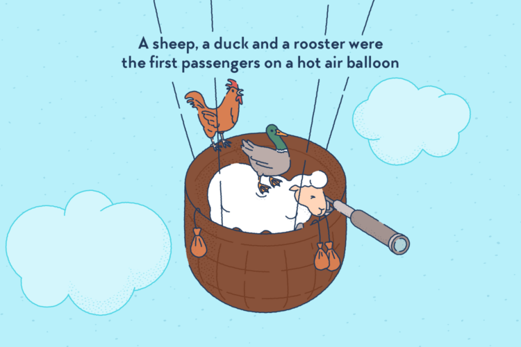 A sheep, a duck and a rooster in the basket of a hot air baloon, the sheep looking through a spyglass.