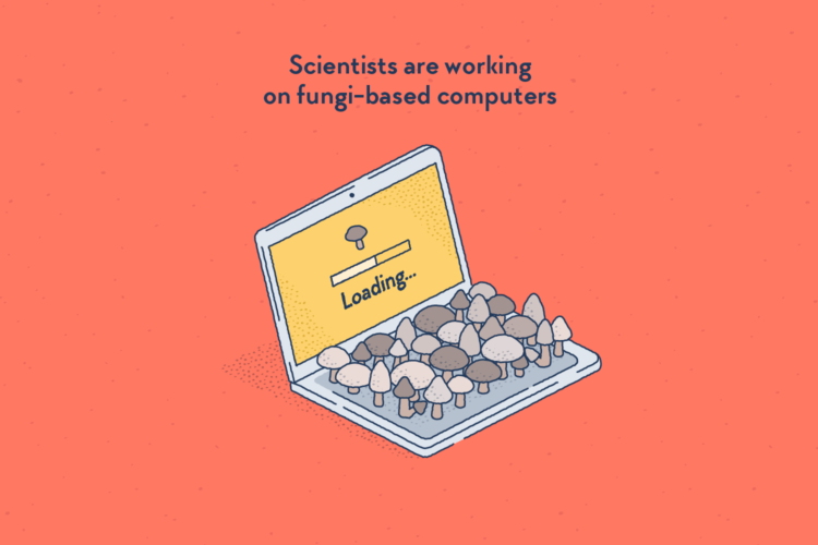 A laptop computer on which are growing a lot of mushrooms.