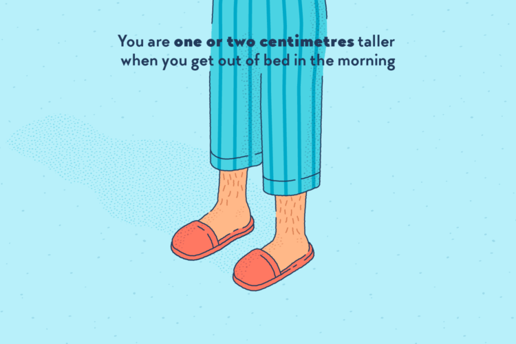 Close-up on legs wearing slippers and a pyjama that is now too short.