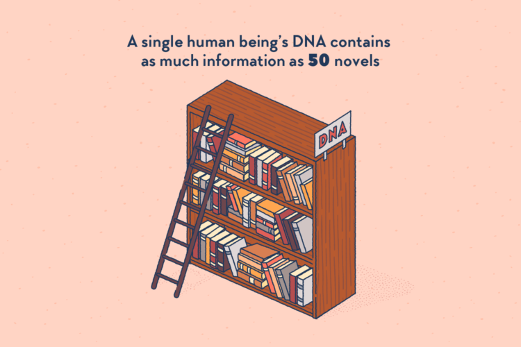 A library bookshelf filled with fifty books. A sign on the shelf reads “DNA”.