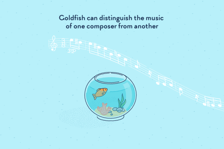 A goldfish in a fishbowl, visualising the notes of “Für Elise”, shown floating in the air.
